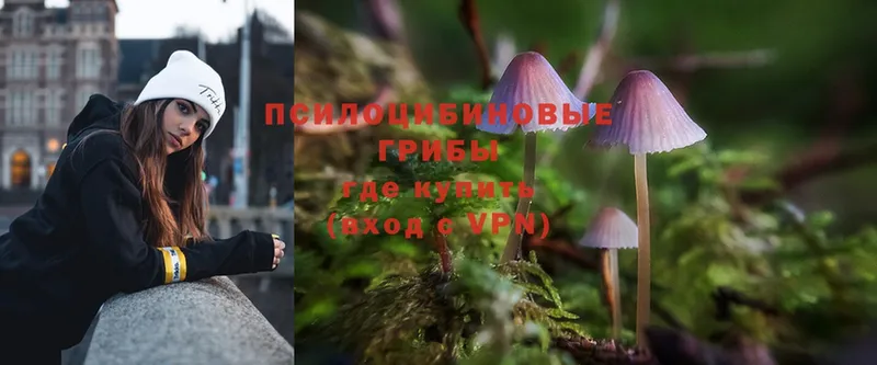 Галлюциногенные грибы Magic Shrooms  Луга 